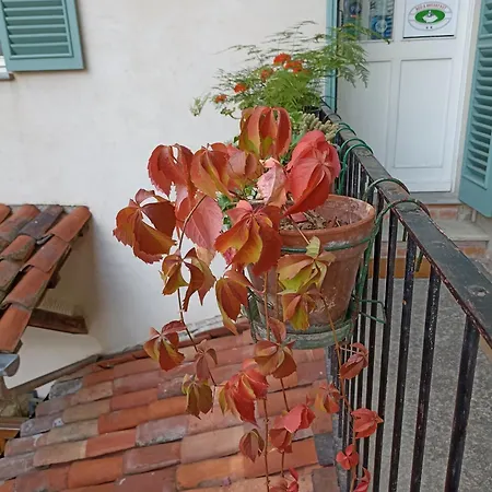 Frühstückspension Antica Magnolia